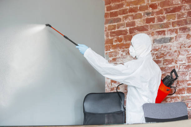 Best Asbestos and Lead Testing During Mold Inspection  in Newark, NJ