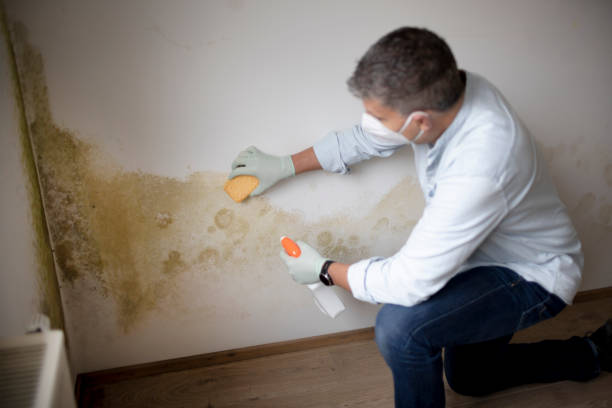 Best Dehumidification Services  in Newark, NJ