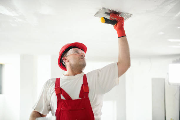 Best Black Mold Removal  in Newark, NJ