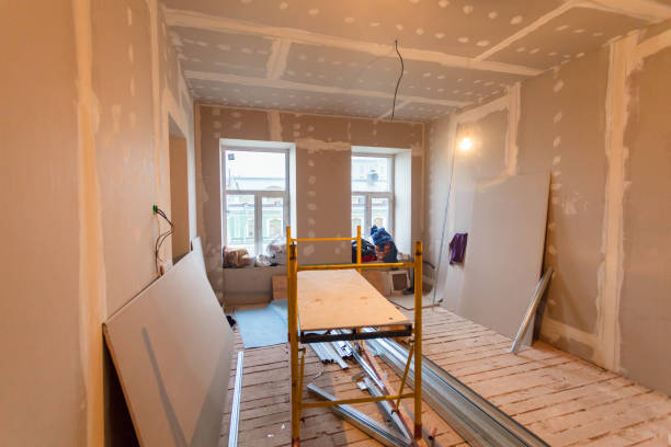 Best Attic Mold Removal  in Newark, NJ